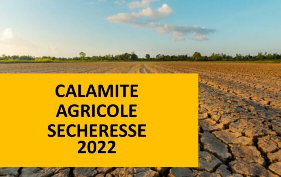 Calamité agricole – perte fourrage sécheresse 2022