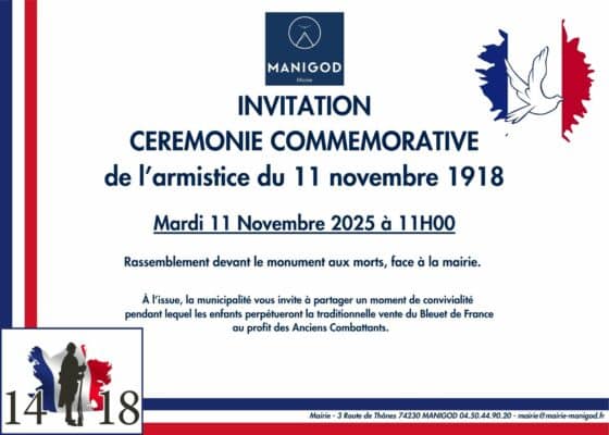 CEREMONIE DU 11 NOVEMBRE
